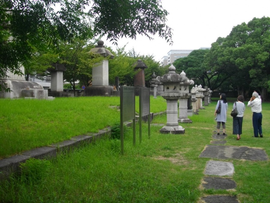 IMGP1621